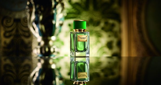 Velvet Cypress de la Dolce & Gabbana